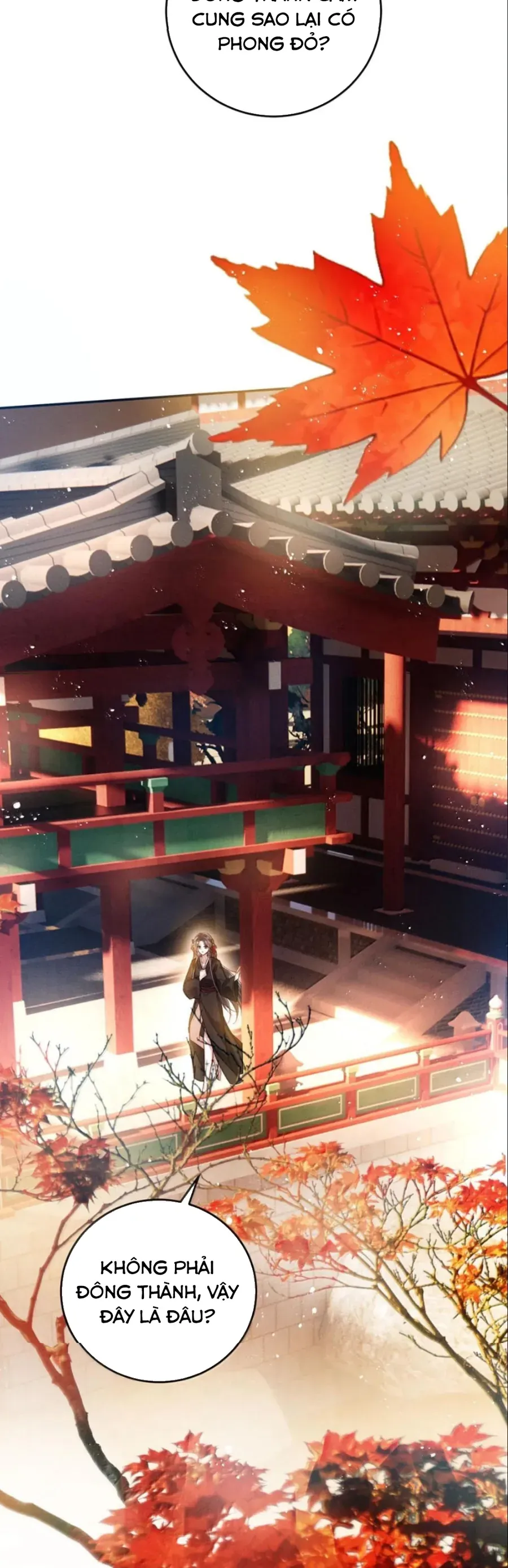 DÂNG CÁ MUỐI LÊN CHO SƯ TỔ Chap 54 - Next Chap 55