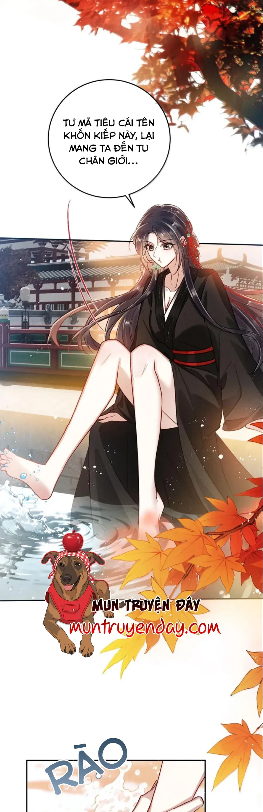 DÂNG CÁ MUỐI LÊN CHO SƯ TỔ Chap 54 - Next Chap 55