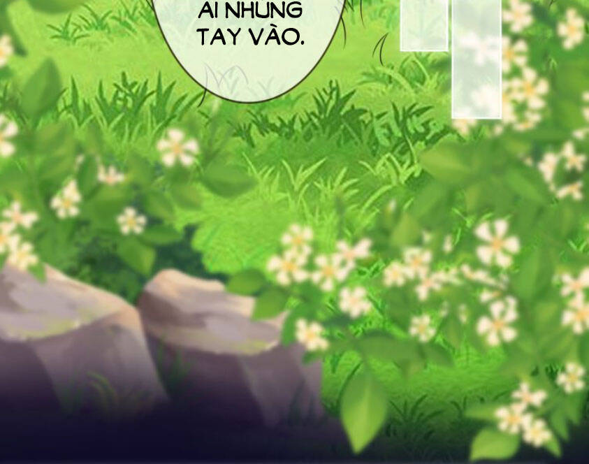 Danh Môn Chí Ái Chap 185 - Next Chap 186