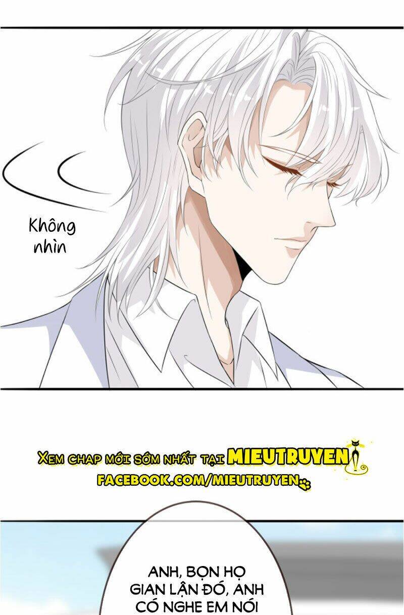 Danh Môn Chí Ái Chap 210 - Next Chap 211