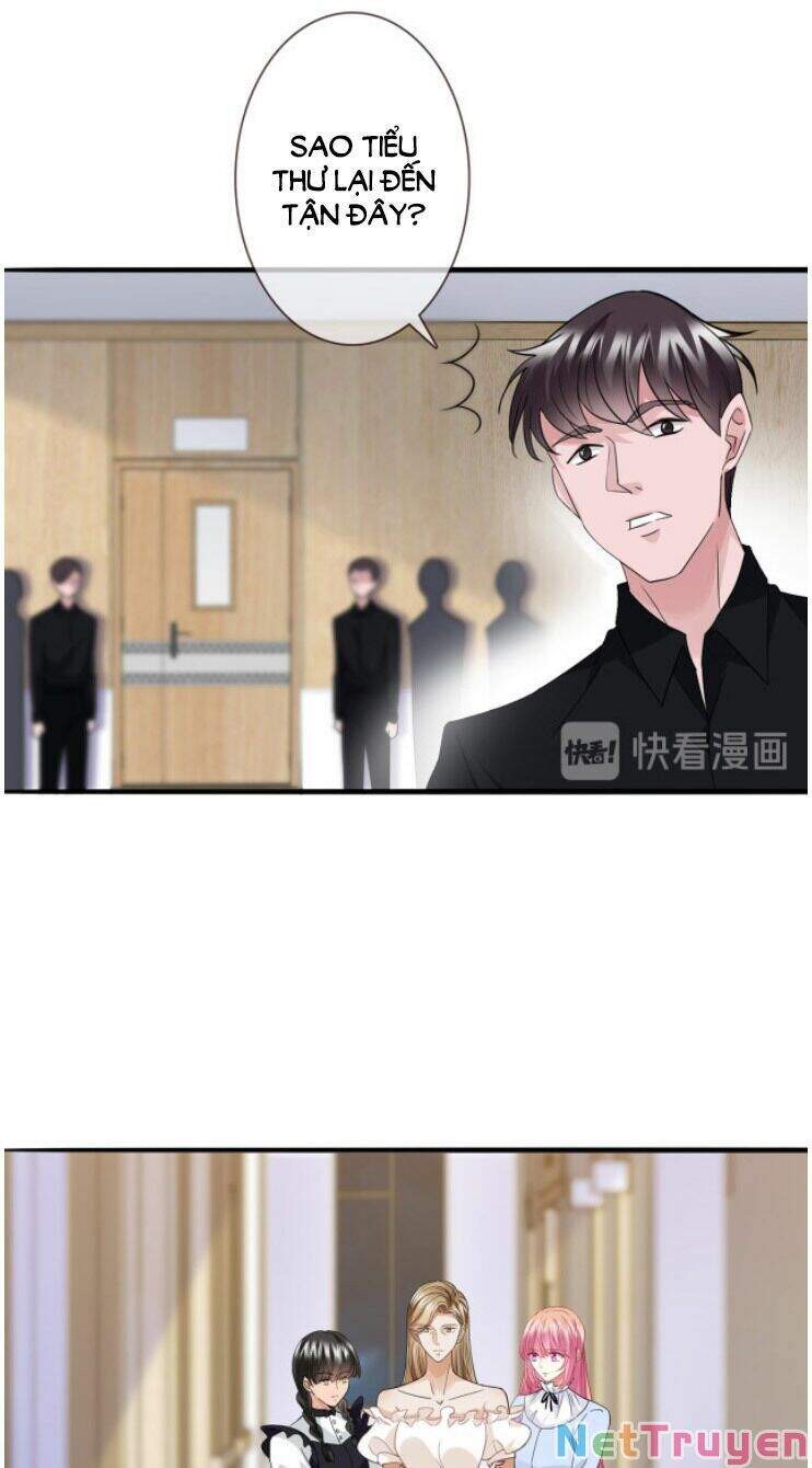 Danh Môn Chí Ái Chap 232 - Next Chap 233