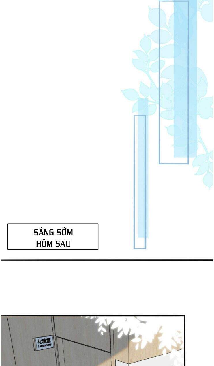 Danh Môn Chí Ái Chap 239 - Next Chap 240