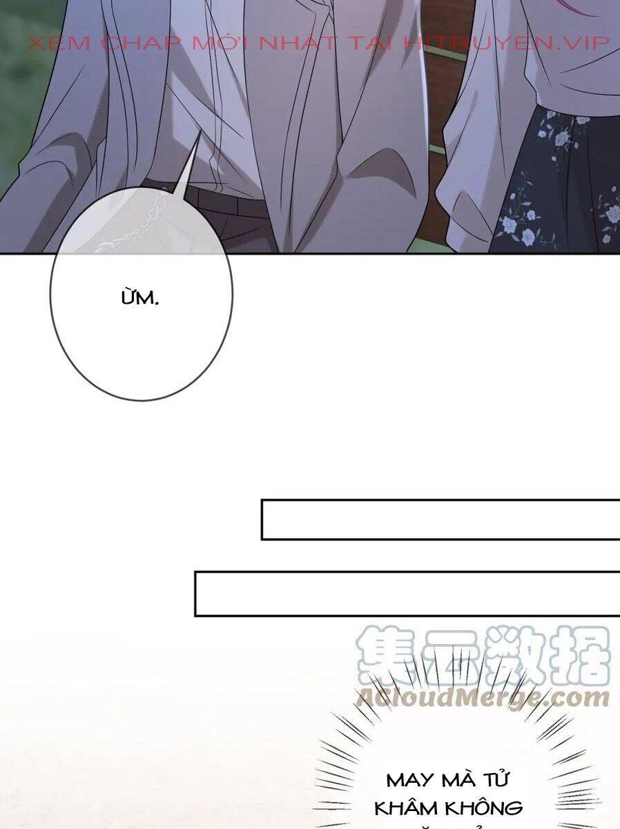 Danh Môn Chí Ái Chap 372.1 - Next Chap 373.1