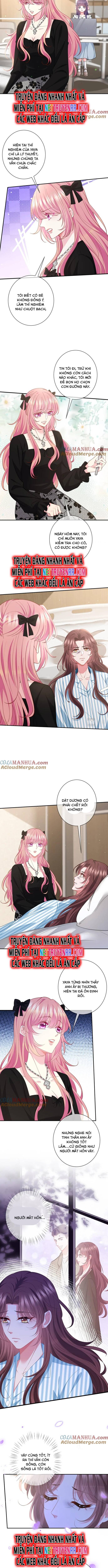 Danh Môn Chí Ái Chap 477 - Next Chap 478