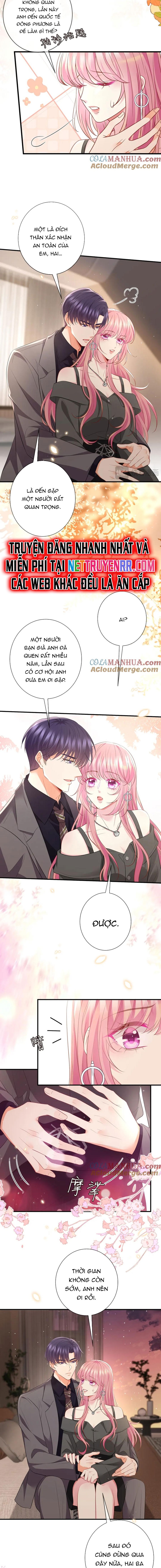 Danh Môn Chí Ái Chap 486 - Next Chap 487