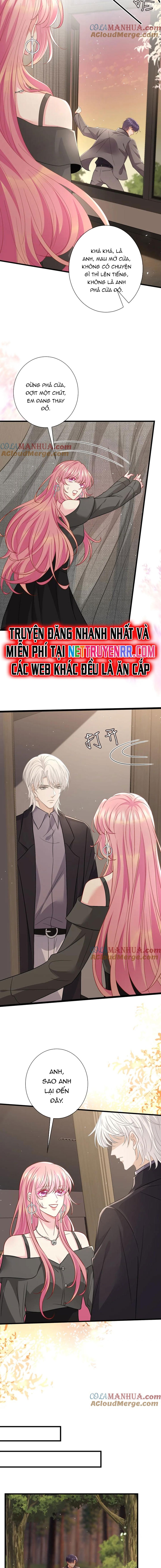 Danh Môn Chí Ái Chap 486 - Next Chap 487