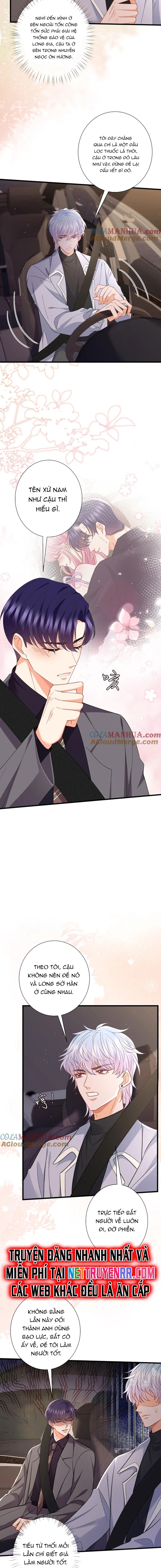 Danh Môn Chí Ái Chap 486 - Next Chap 487