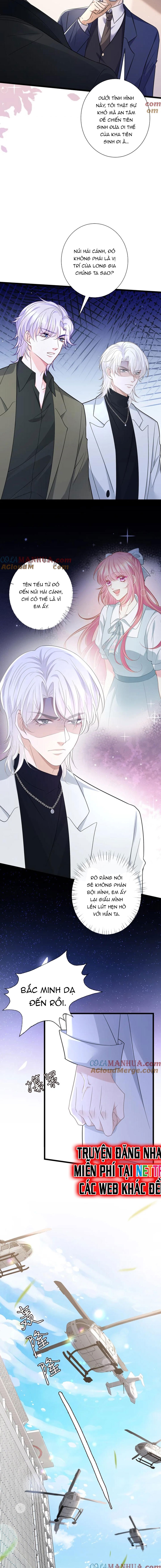 Danh Môn Chí Ái Chap 487 - Next Chap 488