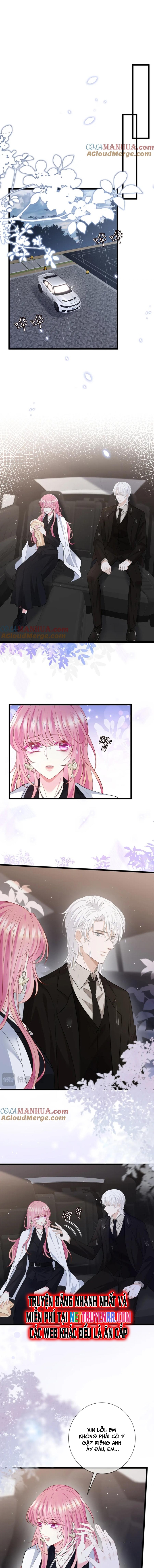 Danh Môn Chí Ái Chap 491 - Next Chap 492