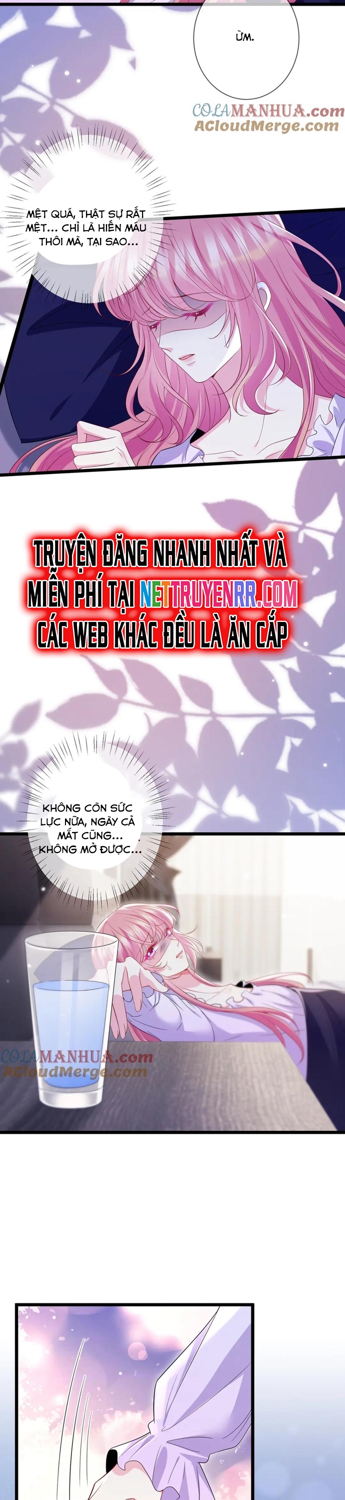 Danh Môn Chí Ái Chap 501 - Next Chap 502