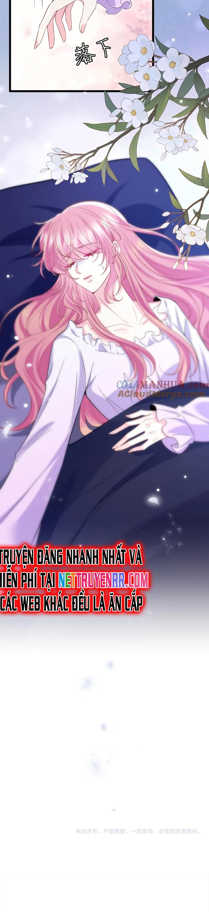 Danh Môn Chí Ái Chap 501 - Next Chap 502