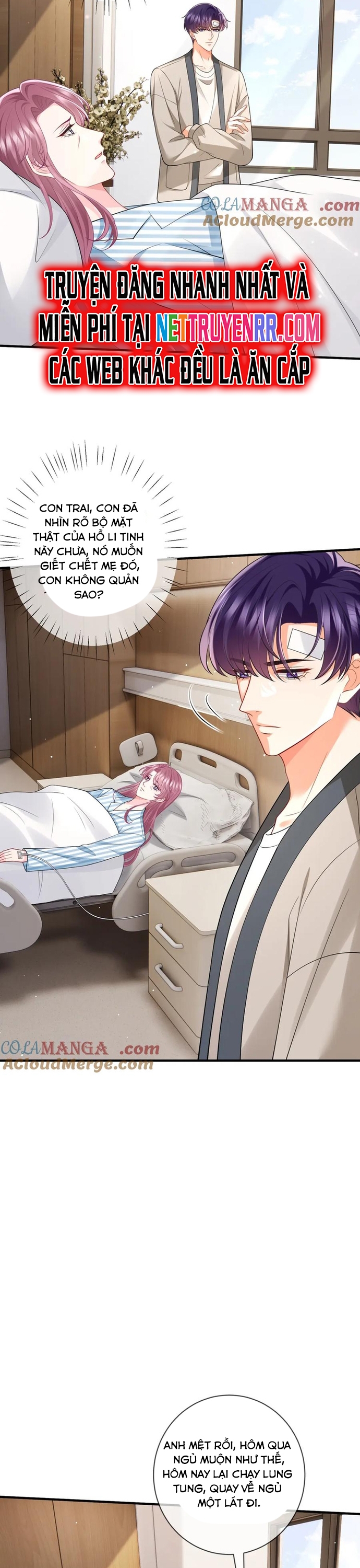 Danh Môn Chí Ái Chap 502 - Next Chap 503