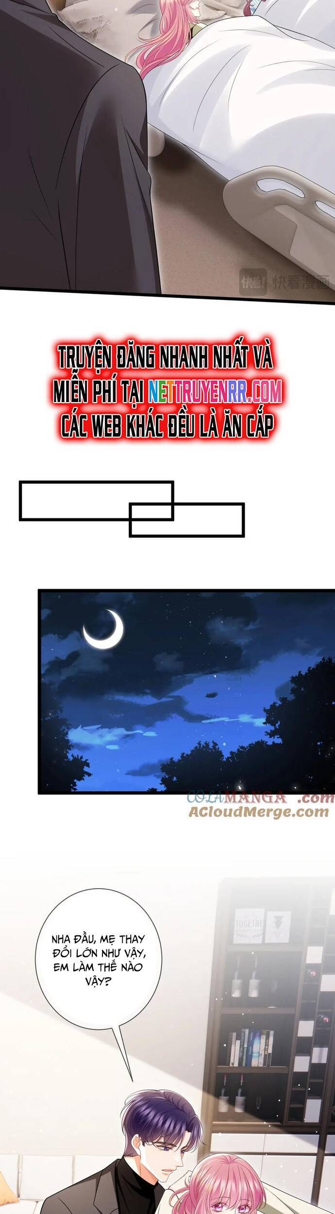 Danh Môn Chí Ái Chap 505 - Next Chap 506