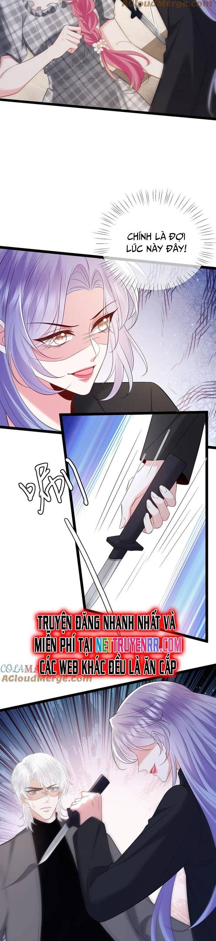 Danh Môn Chí Ái Chap 509 - Next Chap 510