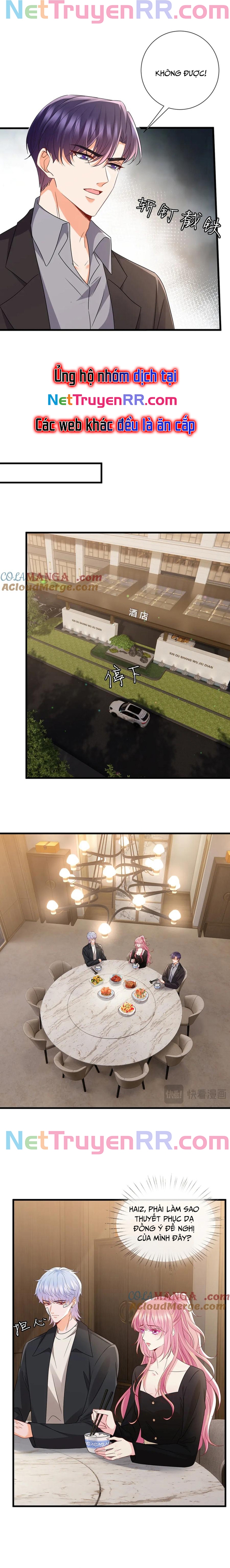 Danh Môn Chí Ái Chap 523 - Next Chap 524