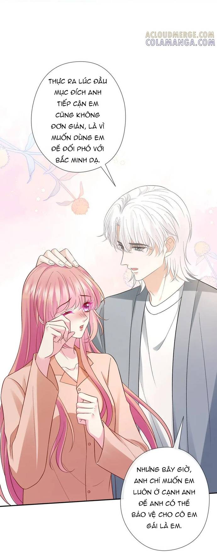 Danh Môn Chí Ái Chap 538 - Next Chap 539