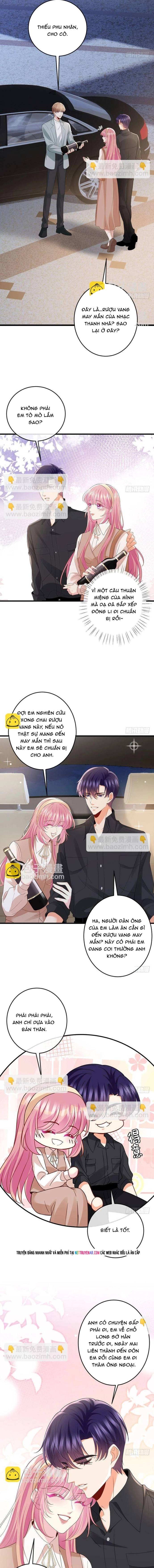 Danh Môn Chí Ái Chap 541 - Next Chap 542