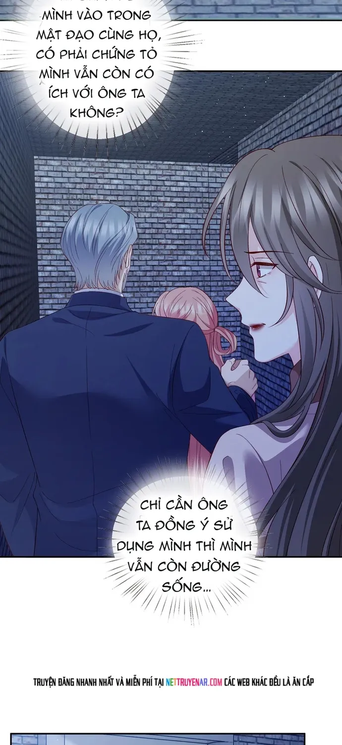 Danh Môn Chí Ái Chap 550 - Next Chap 551