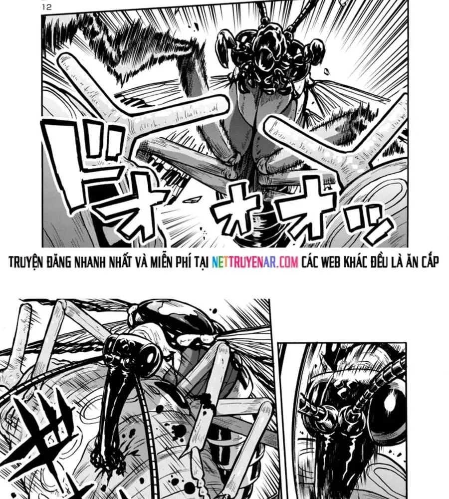 Đảo Côn Trùng Chap 76 - Next Chap 77