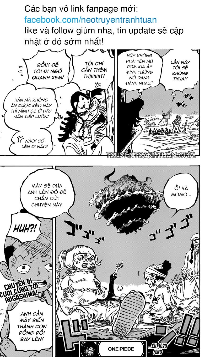 Đảo Hải Tặc Chap 1020 - Next Chap 1021