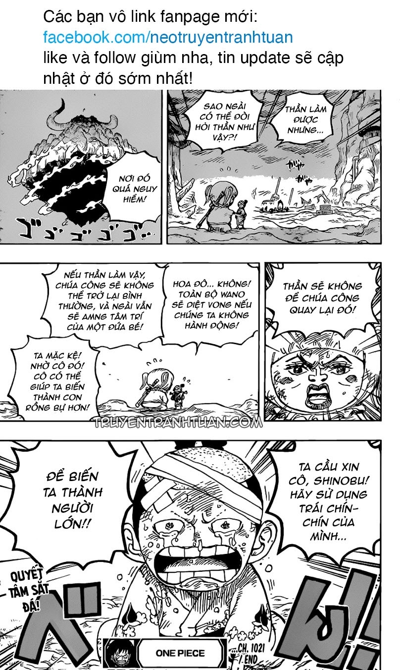 Đảo Hải Tặc Chap 1021 - Next Chap 1022