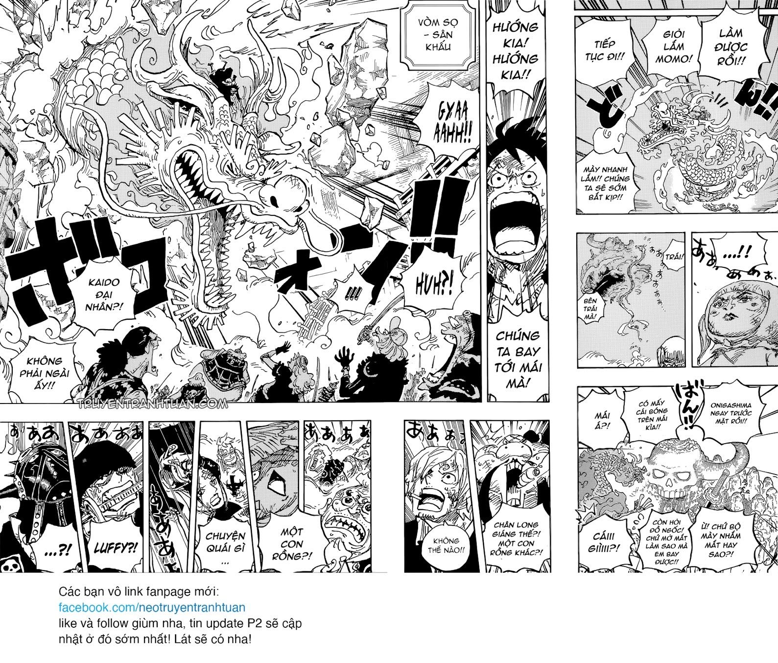 Đảo Hải Tặc Chap 1025 - Next Chap 1026