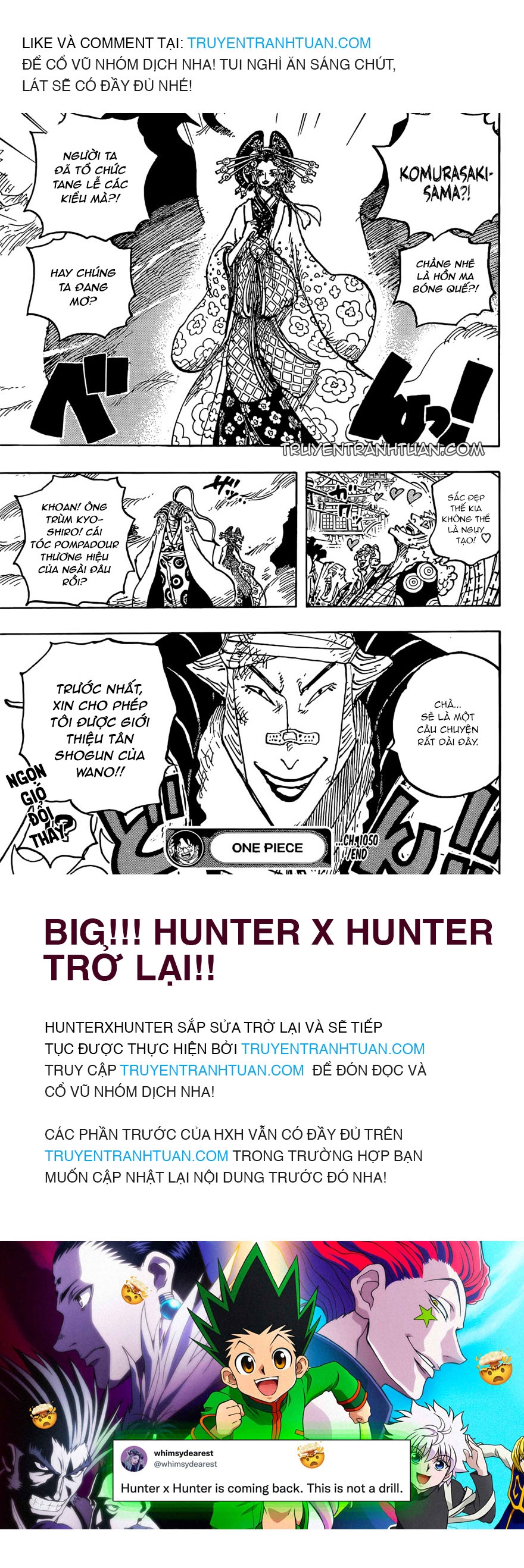 Đảo Hải Tặc Chap 1050 - Next Chap 1051