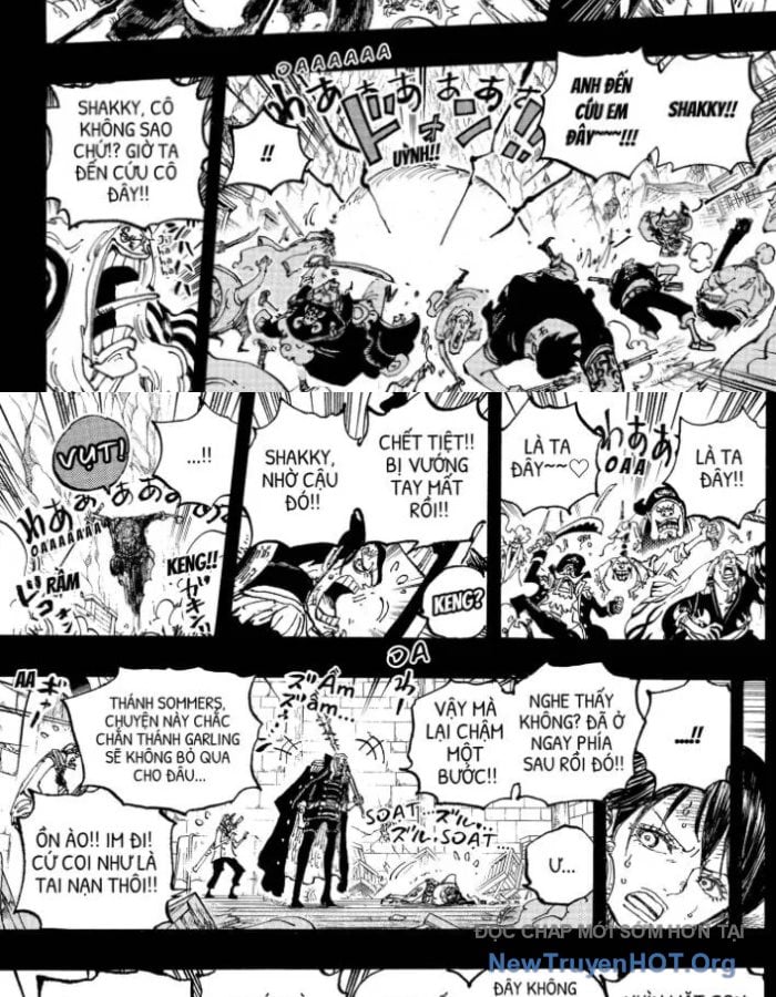 Đảo Hải Tặc Chap 1161.5 - Next Chap 1162.5