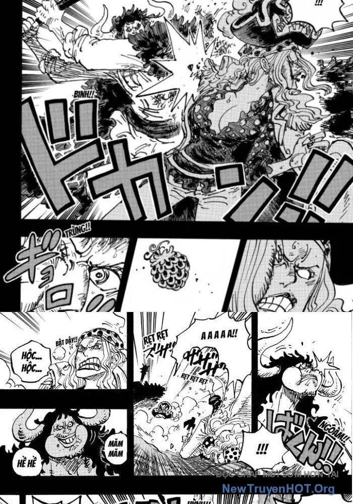 Đảo Hải Tặc Chap 1162.5 - Next Chap 1163.5