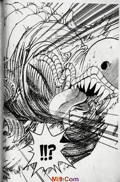 Đảo Hải Tặc Chap 173 - Next Chap 174