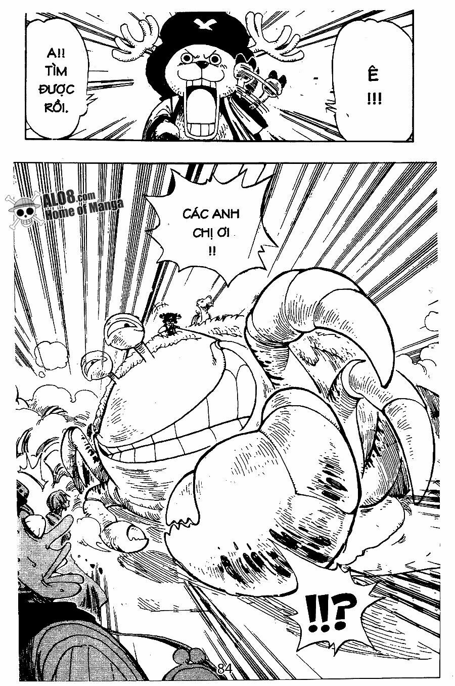 Đảo Hải Tặc Chap 176 - Next Chap 177