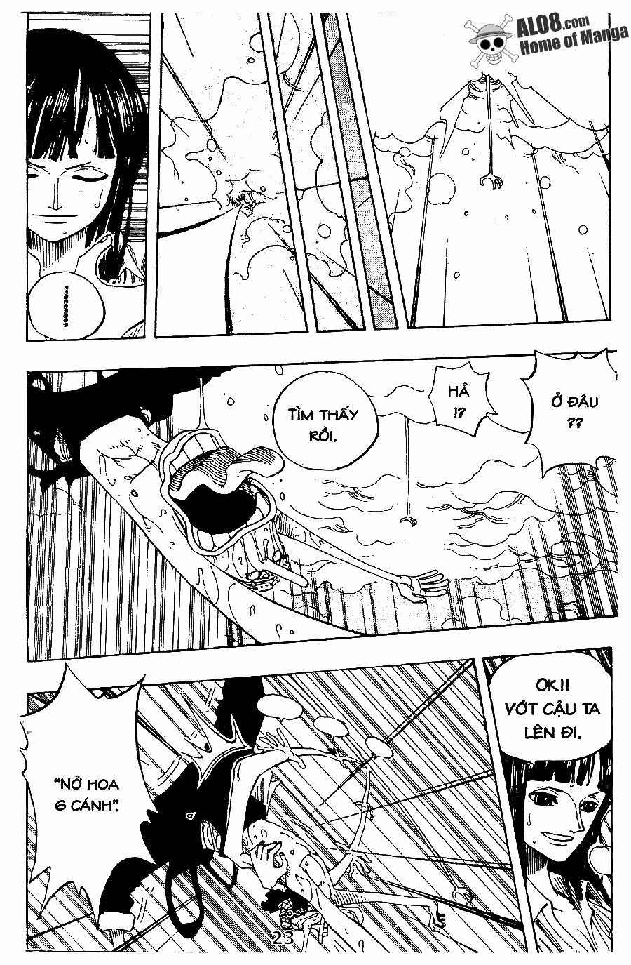 Đảo Hải Tặc Chap 237 - Next Chap 238