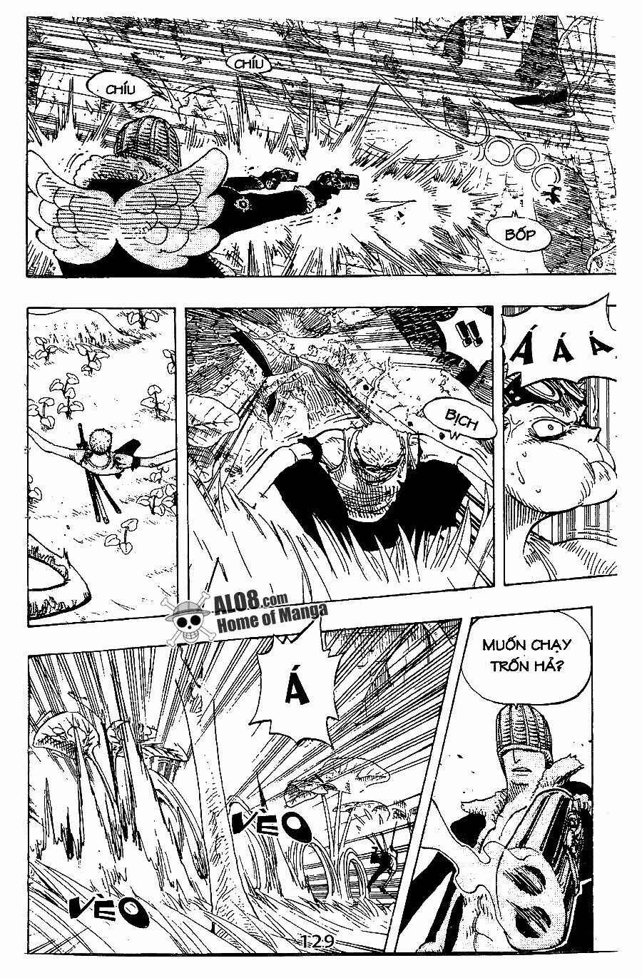 Đảo Hải Tặc Chap 259 - Next Chap 260