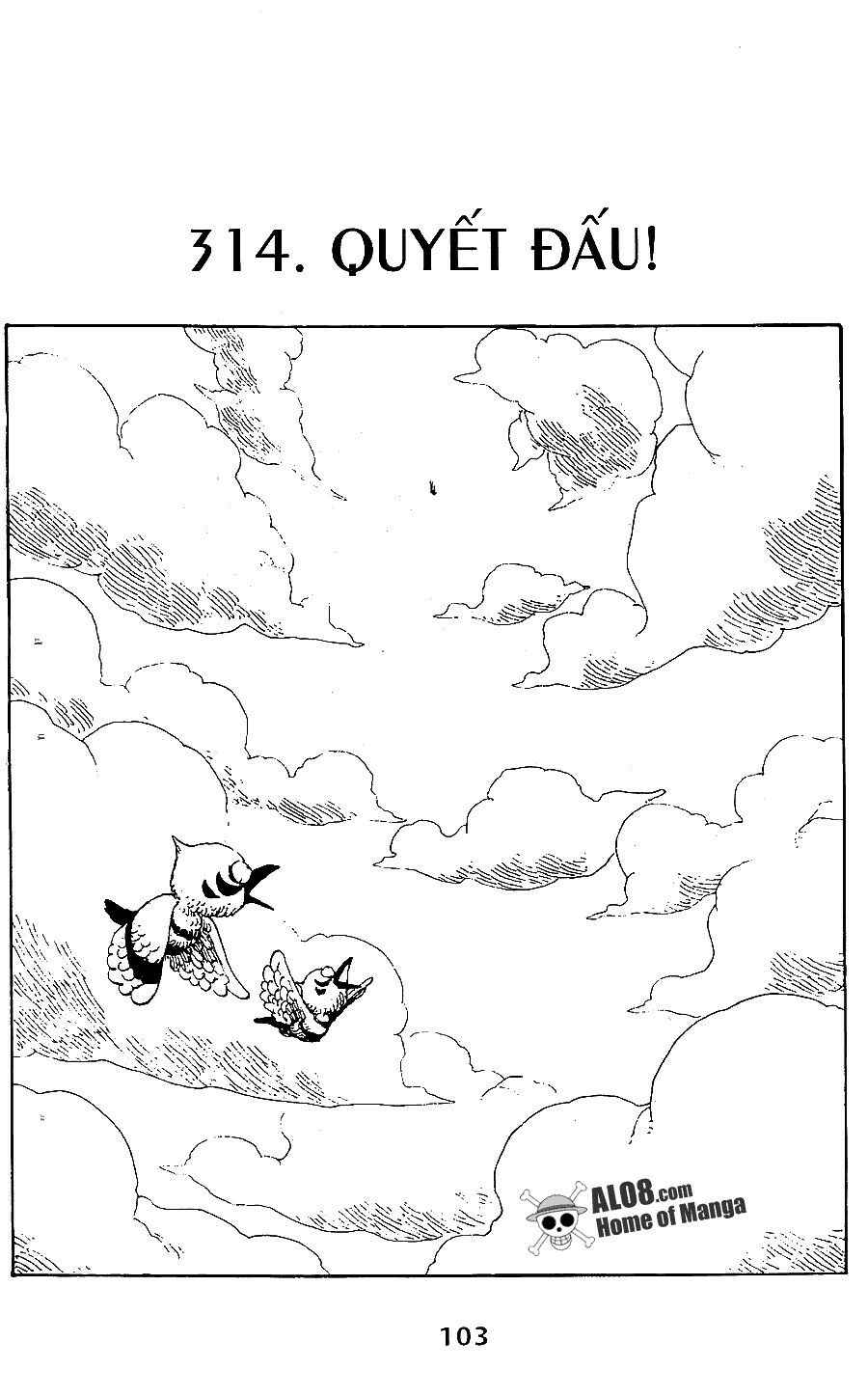 Đảo Hải Tặc Chap 314 - Next Chap 315