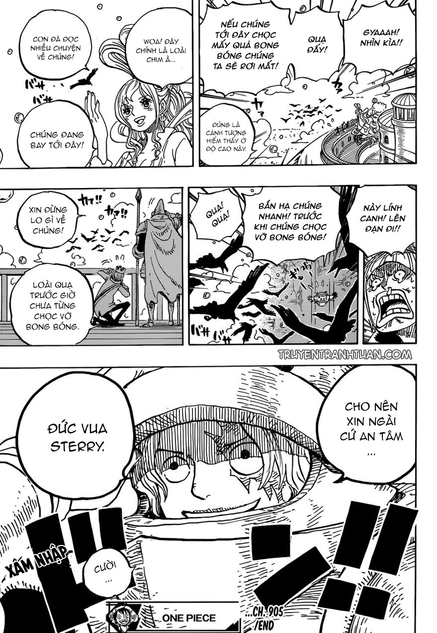 Đảo Hải Tặc Chap 905 - Next Chap 906