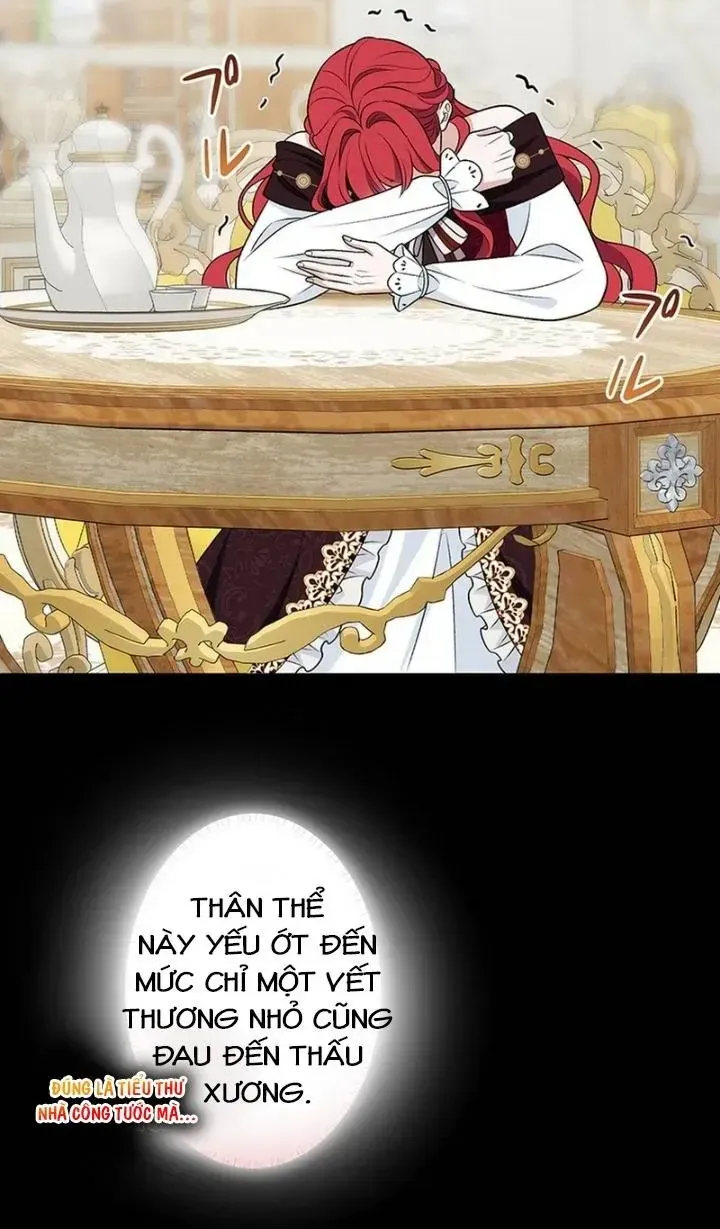 Đảo Ngược Cục Diện Gỡ Bỏ Kết Oán Với Bạo Chúa Chap 4 - Next Chap 5