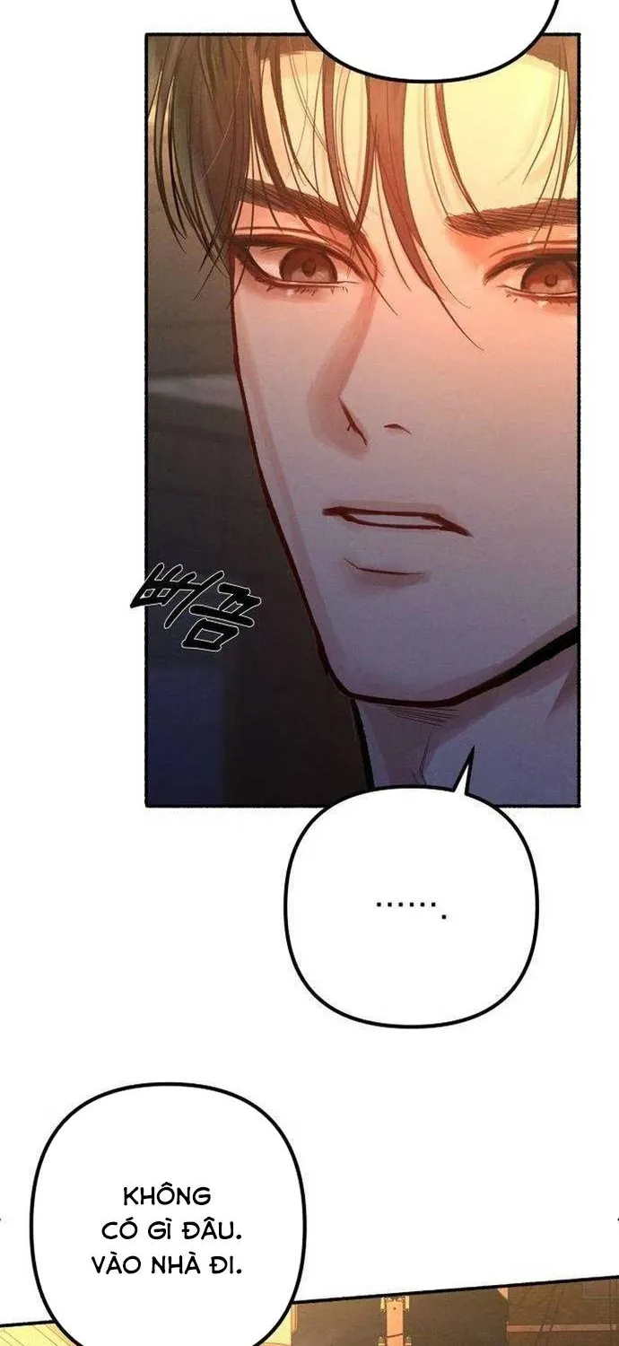 Dấu Ấn Bảo Trợ Chap 14 - Next Chap 15