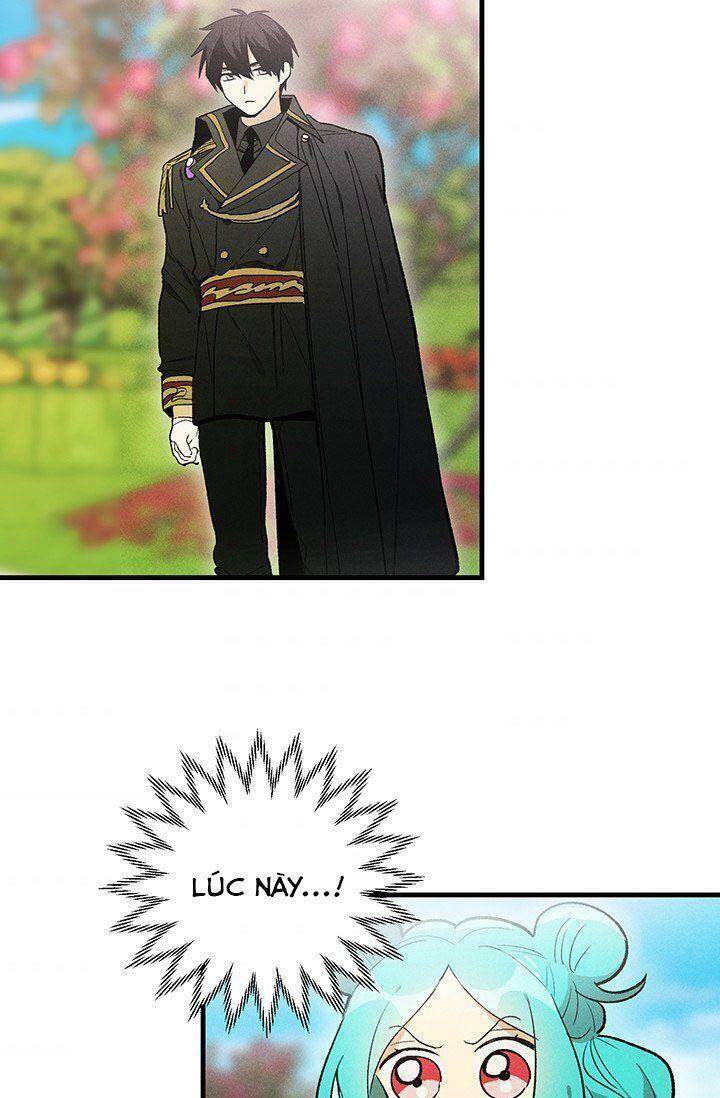 Đầu Bếp Hoàng Gia Chap 20 - Next Chap 21