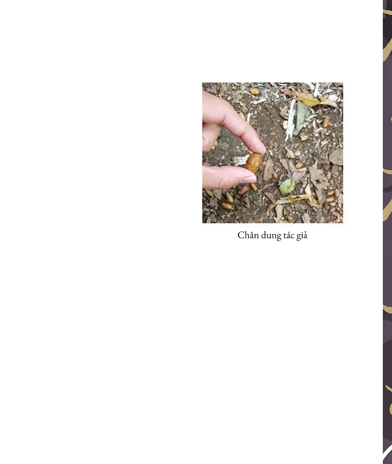 Dẫu Cho Em Không Còn Tuổi 15 Chap 1 - Next Chap 2