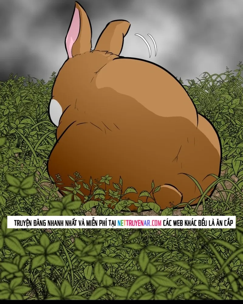 Đấu Sĩ Xác Sống Chap 53 - Next Chap 54