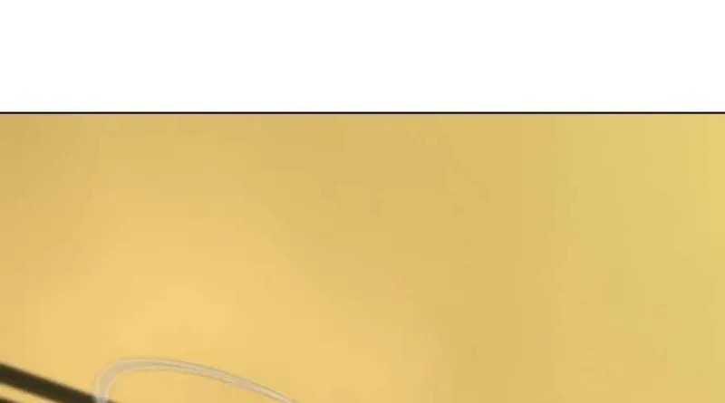 Đấu Sĩ Xác Sống Chap 64 - Next Chap 65