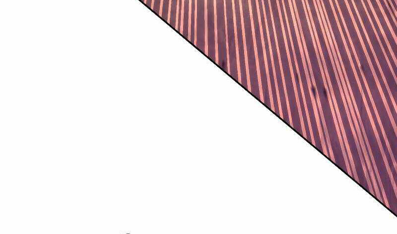 Đấu Trường Sinh Tử Chap 113.5 - Next Chap 114.5