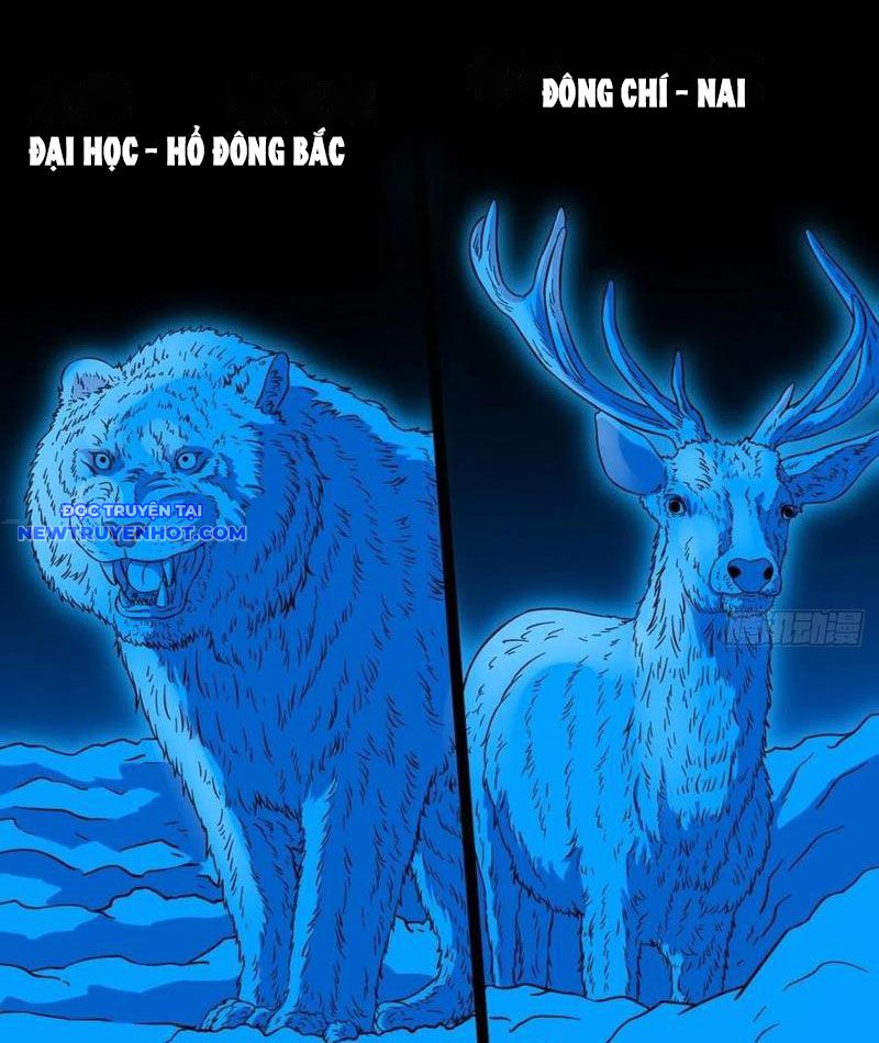 đấu Yếm Thần Chap 118 - Next Chap 119