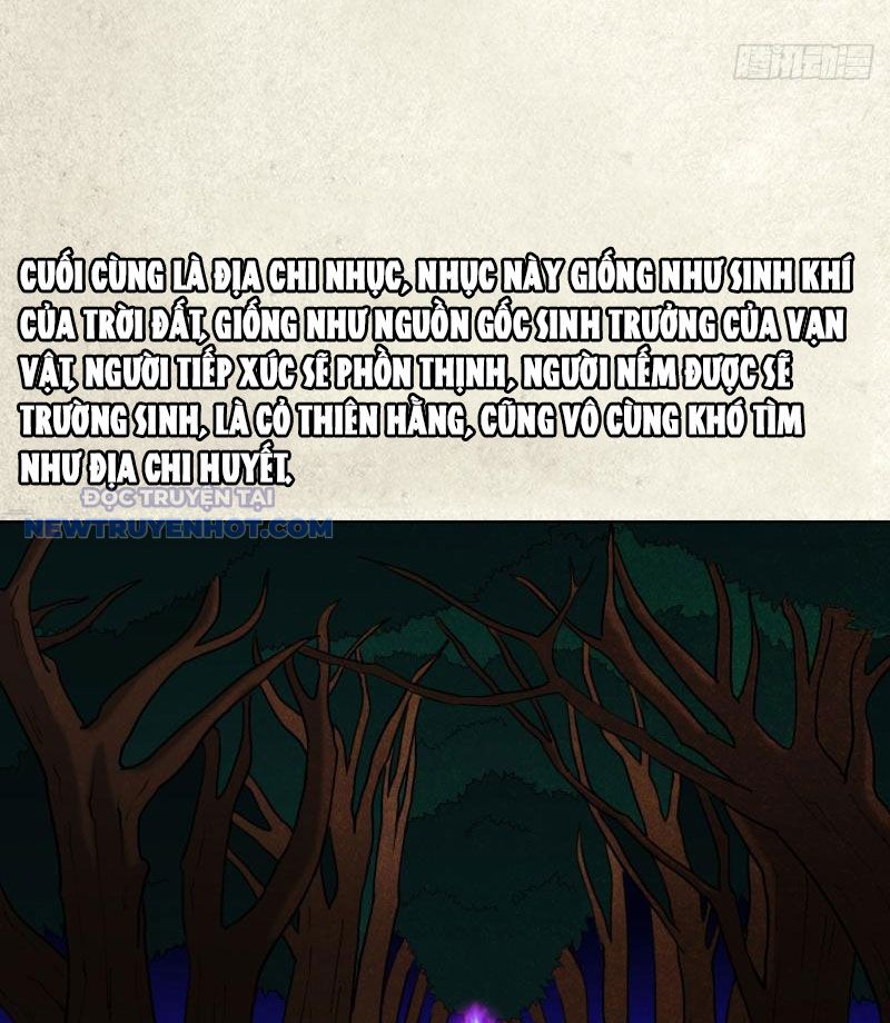 đấu Yếm Thần Chap 18 - Next Chap 19