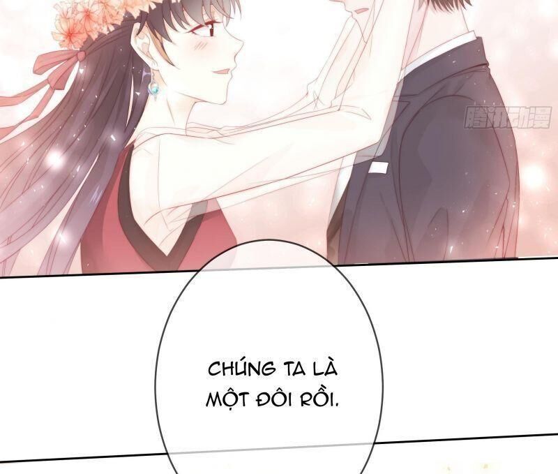 Đế Thiếu Điềm Hôn: Vợ Yêu Trùng Sinh Không Ngoan Lắm Chap 1 - Next Chap 2