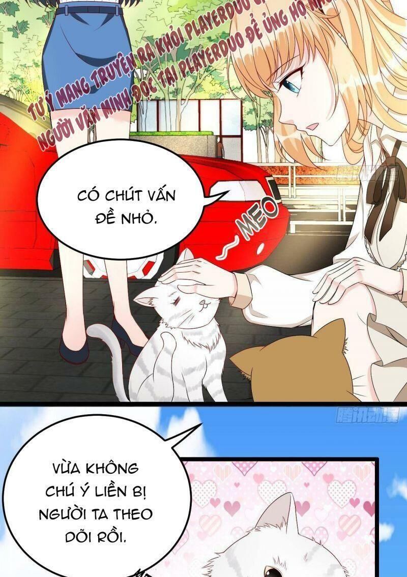 Đế Thiếu Điềm Hôn: Vợ Yêu Trùng Sinh Không Ngoan Lắm Chap 13 - Next Chap 14