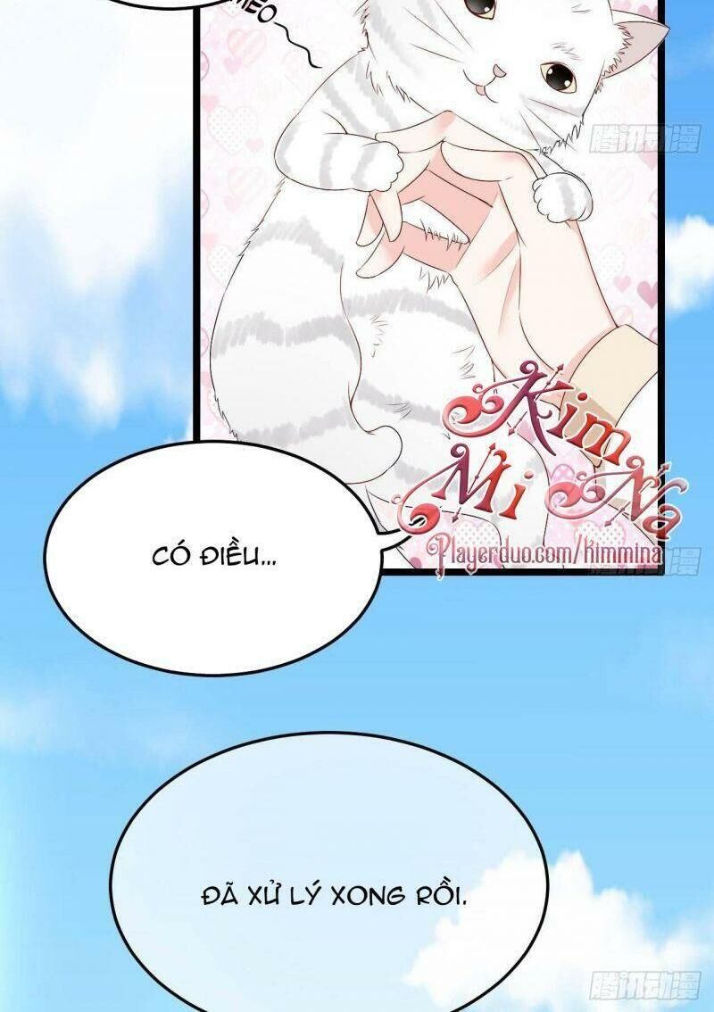 Đế Thiếu Điềm Hôn: Vợ Yêu Trùng Sinh Không Ngoan Lắm Chap 13 - Next Chap 14