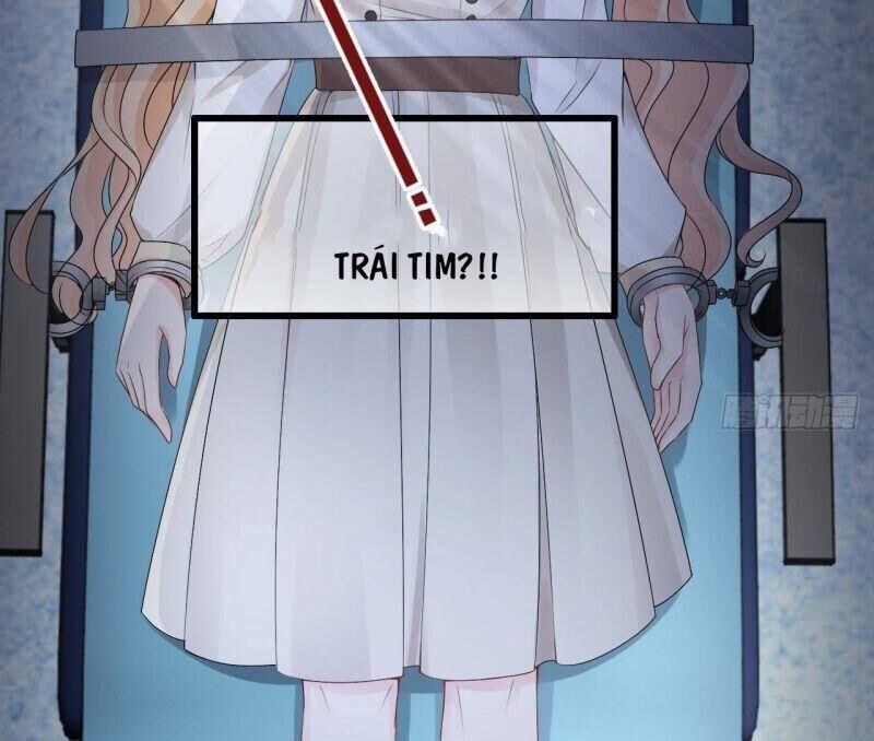 Đế Thiếu Điềm Hôn: Vợ Yêu Trùng Sinh Không Ngoan Lắm Chap 18 - Next Chap 19