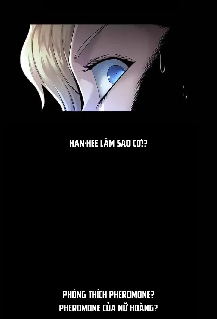 Dead Queen Chap 113 - Next Chap 114