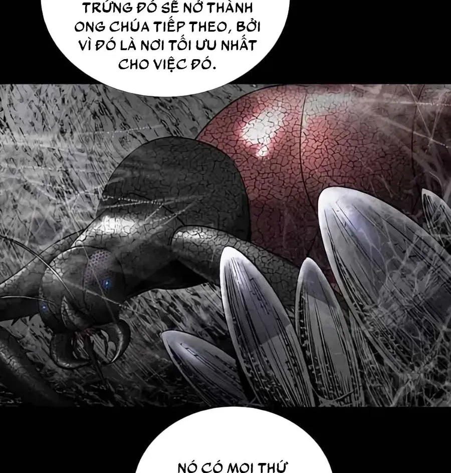 Dead Queen Chap 164 - Next Chap 165